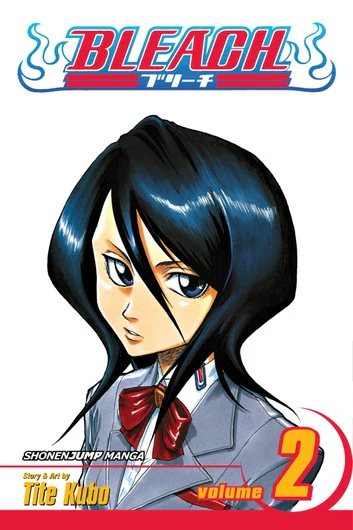 Bleach Manga Volume 2